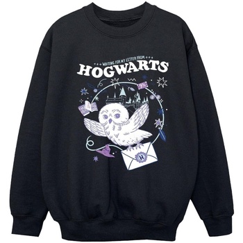 Vêtements Fille Sweats Harry Potter Owl Letter From Hogwarts Noir