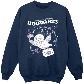 Vêtements Fille Sweats Harry Potter Owl Letter From Hogwarts Bleu