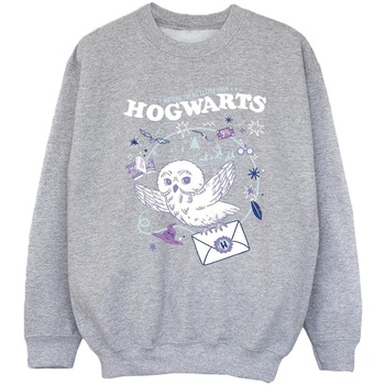 Vêtements Fille Sweats Harry Potter Owl Letter From Hogwarts Gris