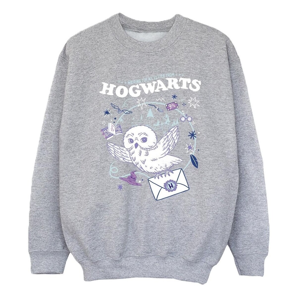 Vêtements Fille Sweats Harry Potter  Gris