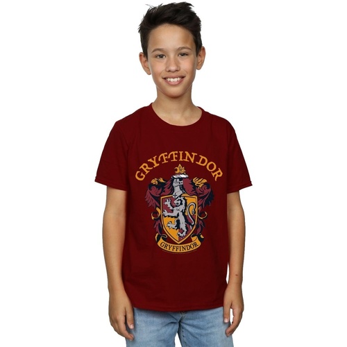 Vêtements Garçon T-shirts manches courtes Harry Potter Gryffindor Crest Multicolore