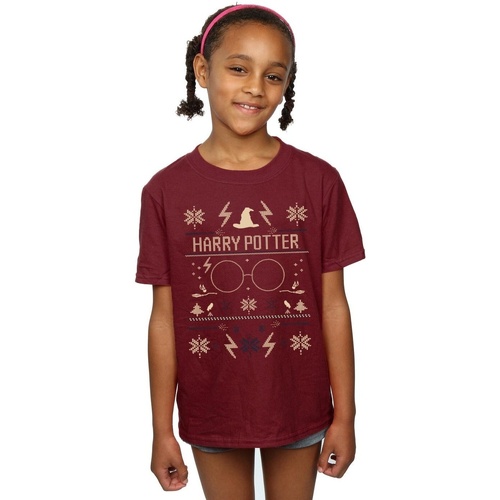 Vêtements Fille T-shirts manches longues Harry Potter Christmas Pattern Multicolore