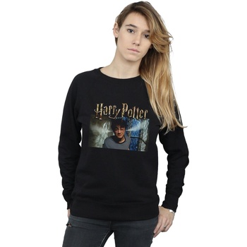 Vêtements Femme Sweats Harry Potter Steam Ears Noir
