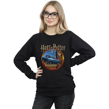 Vêtements Femme Sweats Harry Potter Flying Car Noir