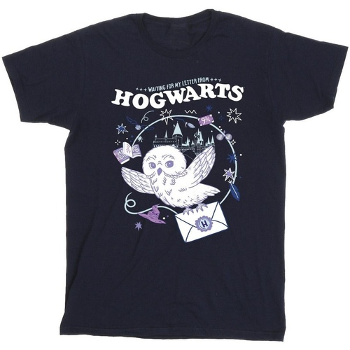 Vêtements Garçon T-shirts manches courtes Harry Potter Owl Letter From Hogwarts Bleu