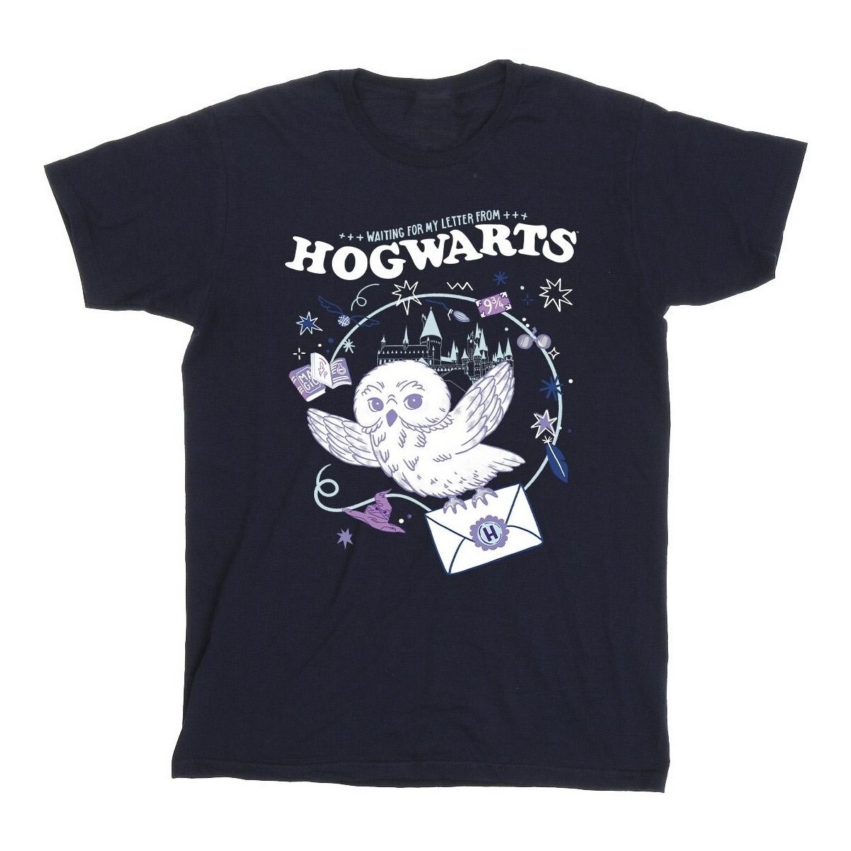 Vêtements Garçon T-shirts manches courtes Harry Potter Owl Letter From Hogwarts Bleu