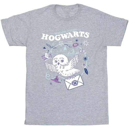 Vêtements Garçon T-shirts manches courtes Harry Potter Owl Letter From Hogwarts Gris
