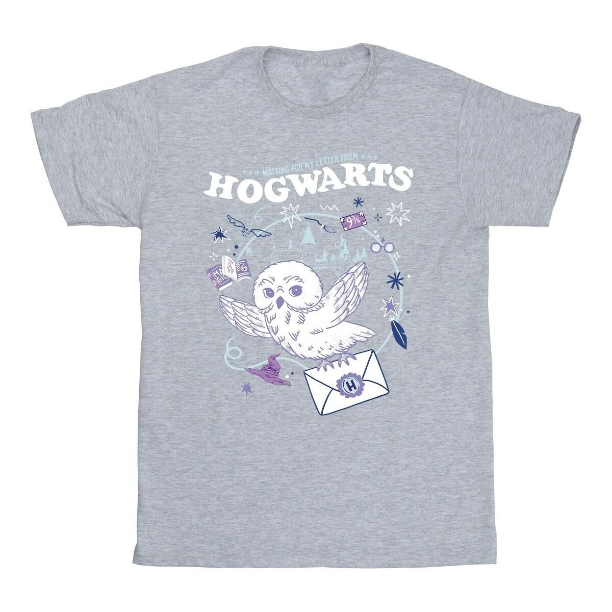 Vêtements Garçon T-shirts manches courtes Harry Potter Owl Letter From Hogwarts Gris