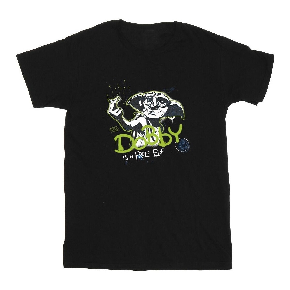 Vêtements Garçon T-shirts manches courtes Harry Potter Dobby A Free Elf Noir