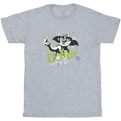 Vêtements Garçon T-shirts manches courtes Harry Potter Dobby A Free Elf Gris