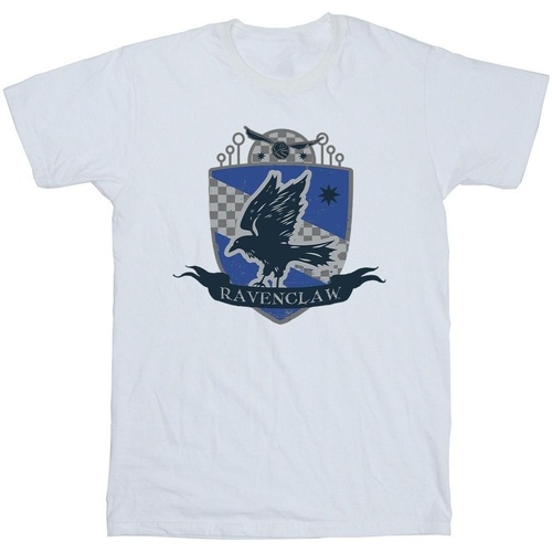Vêtements Garçon T-shirts manches courtes Harry Potter Ravenclaw Chest Badge Blanc