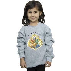 Vêtements Fille Sweats Harry Potter Hogwarts School Emblem Gris