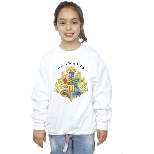 Vêtements Fille Sweats Harry Potter Hogwarts School Emblem Blanc