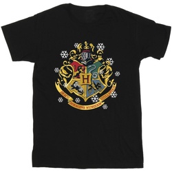 Vêtements Garçon T-shirts manches courtes Harry Potter Christmas Crest Noir