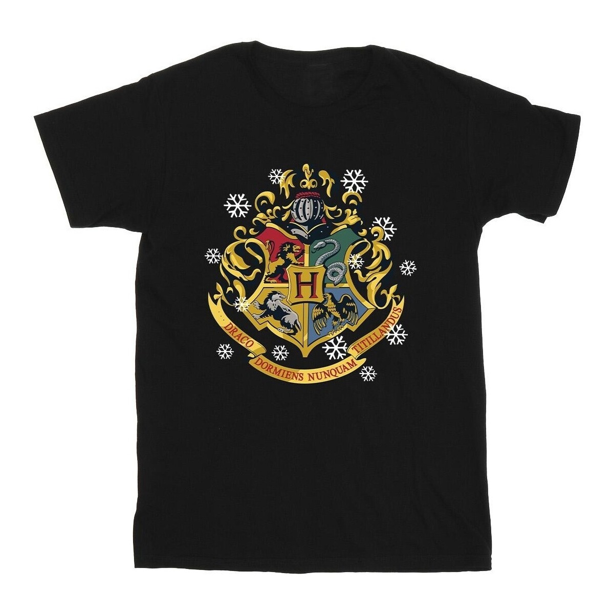 Vêtements Garçon T-shirts manches courtes Harry Potter Christmas Crest Noir