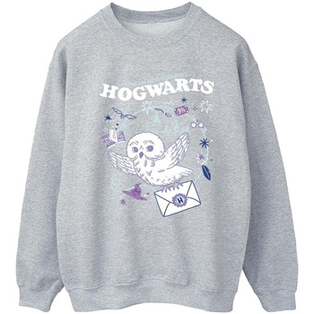 Vêtements Femme Sweats Harry Potter Owl Letter From Hogwarts Gris