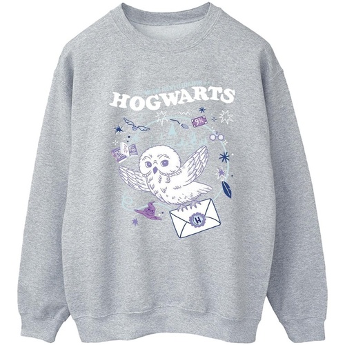 Vêtements Femme Sweats Harry Potter  Gris