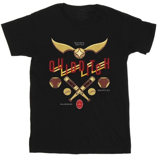Vêtements Garçon T-shirts manches courtes Harry Potter Quidditch Golden Snitch Noir