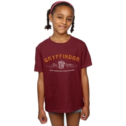 Vêtements Fille T-shirts manches longues Harry Potter Gryffindor Team Quidditch Multicolore