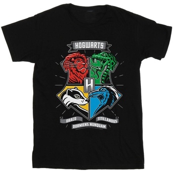 Vêtements Fille T-shirts manches longues Harry Potter Hogwarts Toon Crest Noir