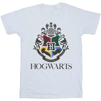 Vêtements Fille T-shirts manches longues Harry Potter Hogwarts Crest Blanc