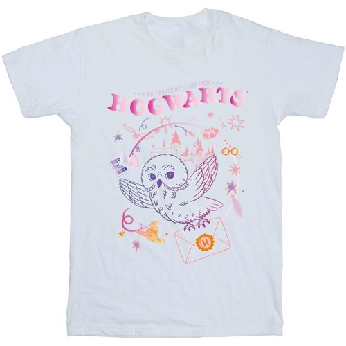 Vêtements Fille T-shirts manches longues Harry Potter Owl Letter Blanc