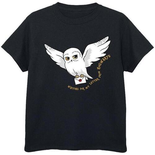 Vêtements Fille T-shirts Shorts manches longues Harry Potter Owl Letter Noir