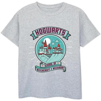 Vêtements Fille T-shirts manches longues Harry Potter Hogwarts Sphere Gris