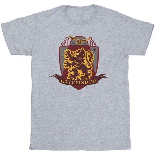 Vêtements Fille T-shirts Shorts manches longues Harry Potter Gryffindor Chest Badge Gris