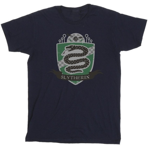 Vêtements Fille T-shirts Shorts manches longues Harry Potter Slytherin Chest Badge Bleu