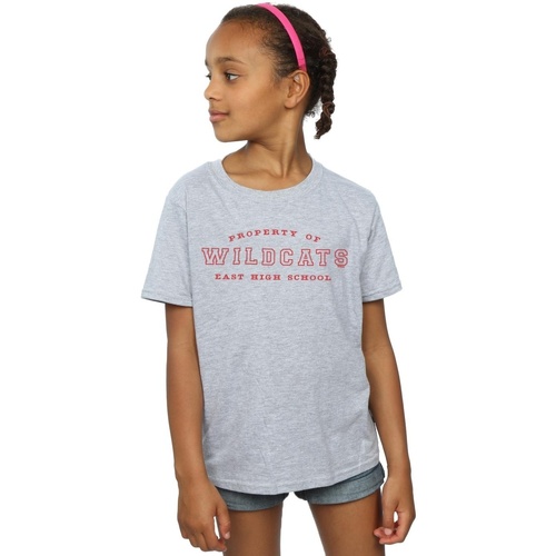 Vêtements Fille T-shirts manches longues Disney High School Musical The Musical Property Of Wildcats Gris