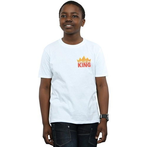 Vêtements Garçon T-shirts manches longues Disney The Lion King Movie Long Live Breast Print Blanc