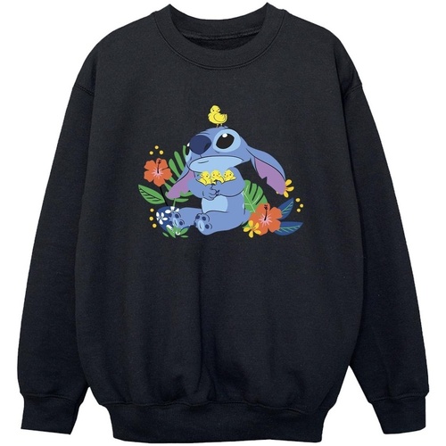 Vêtements Garçon Sweats Disney Lilo & Stitch Birds Noir
