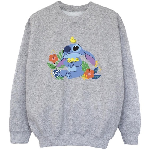 Vêtements Garçon Sweats Disney Lilo & Stitch Birds Gris