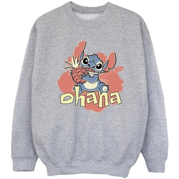 Vêtements Fille Sweats Disney Lilo And Stitch Ohana Pineapple Gris