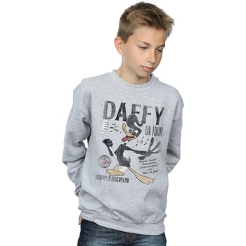 Vêtements Garçon Sweats Dessins Animés Daffy Duck Concert Gris