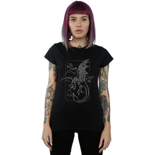 Vêtements Femme T-shirts manches longues Harry Potter Dragon Line Art Noir