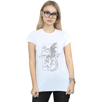 Vêtements Femme T-shirts manches longues Harry Potter Dragon Line Art Blanc