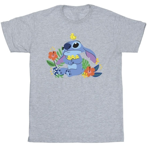 Vêtements Fille T-shirts manches longues Disney Lilo & Stitch Birds Gris