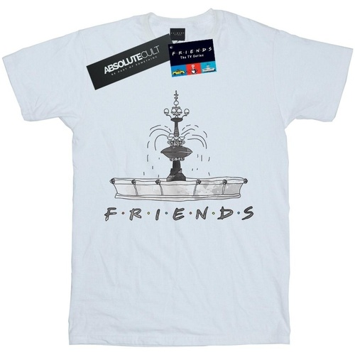 Vêtements Homme T-shirts manches longues Friends Fountain Sketch Blanc