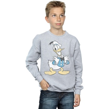 Vêtements Garçon Sweats Disney Donald Duck Posing Gris