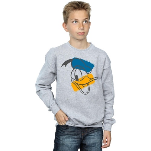 Vêtements Garçon Sweats Disney Donald Duck Head Gris