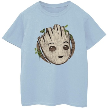 Vêtements Garçon T-shirts manches courtes Marvel I Am Groot Wooden Head Bleu