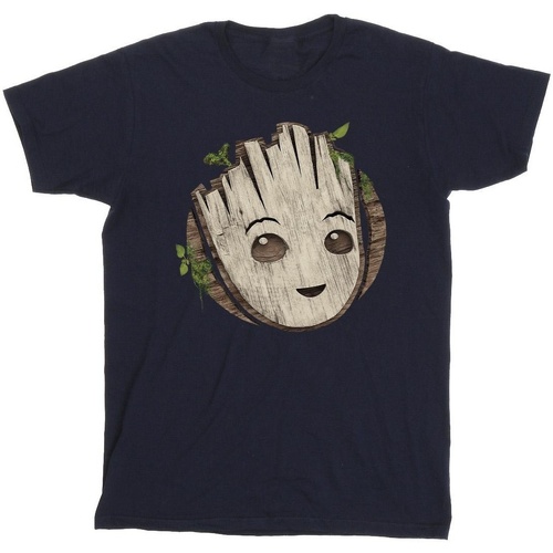 Vêtements Garçon T-shirts manches courtes Marvel I Am Groot Wooden Head Bleu