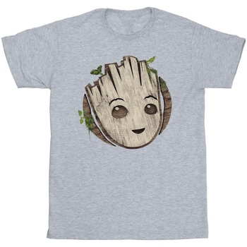 Vêtements Garçon T-shirts manches courtes Marvel I Am Groot Wooden Head Gris
