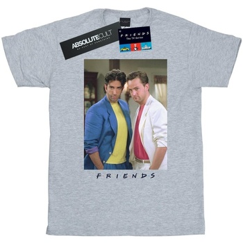 Vêtements Homme T-shirts manches longues Friends Ross And Chandler College Gris