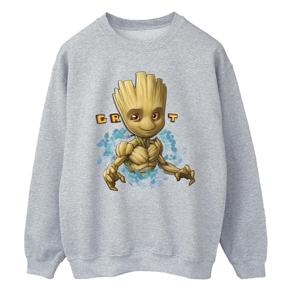 Vêtements Homme Sweats Guardians Of The Galaxy Groot Flowers Gris