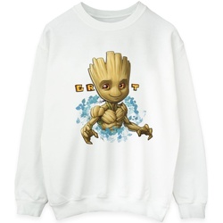 Vêtements Homme Sweats Guardians Of The Galaxy Groot Flowers Blanc