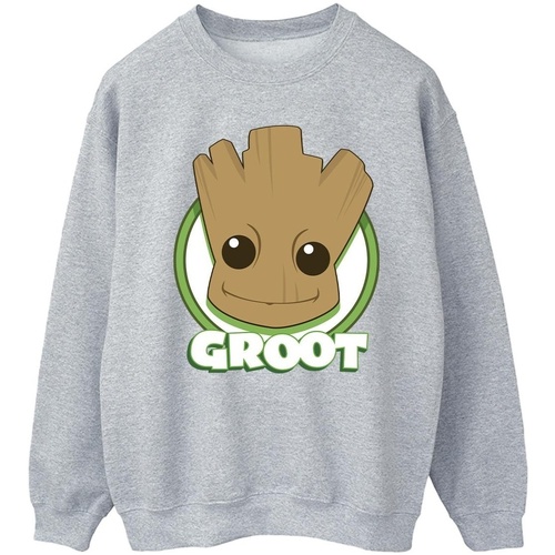 Vêtements Homme Sweats Guardians Of The Galaxy Groot Badge Gris