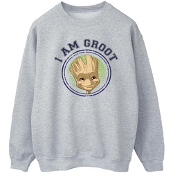 Vêtements Homme Sweats Guardians Of The Galaxy Groot Varsity Gris